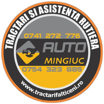 SC AUTO MINGIUC SRL